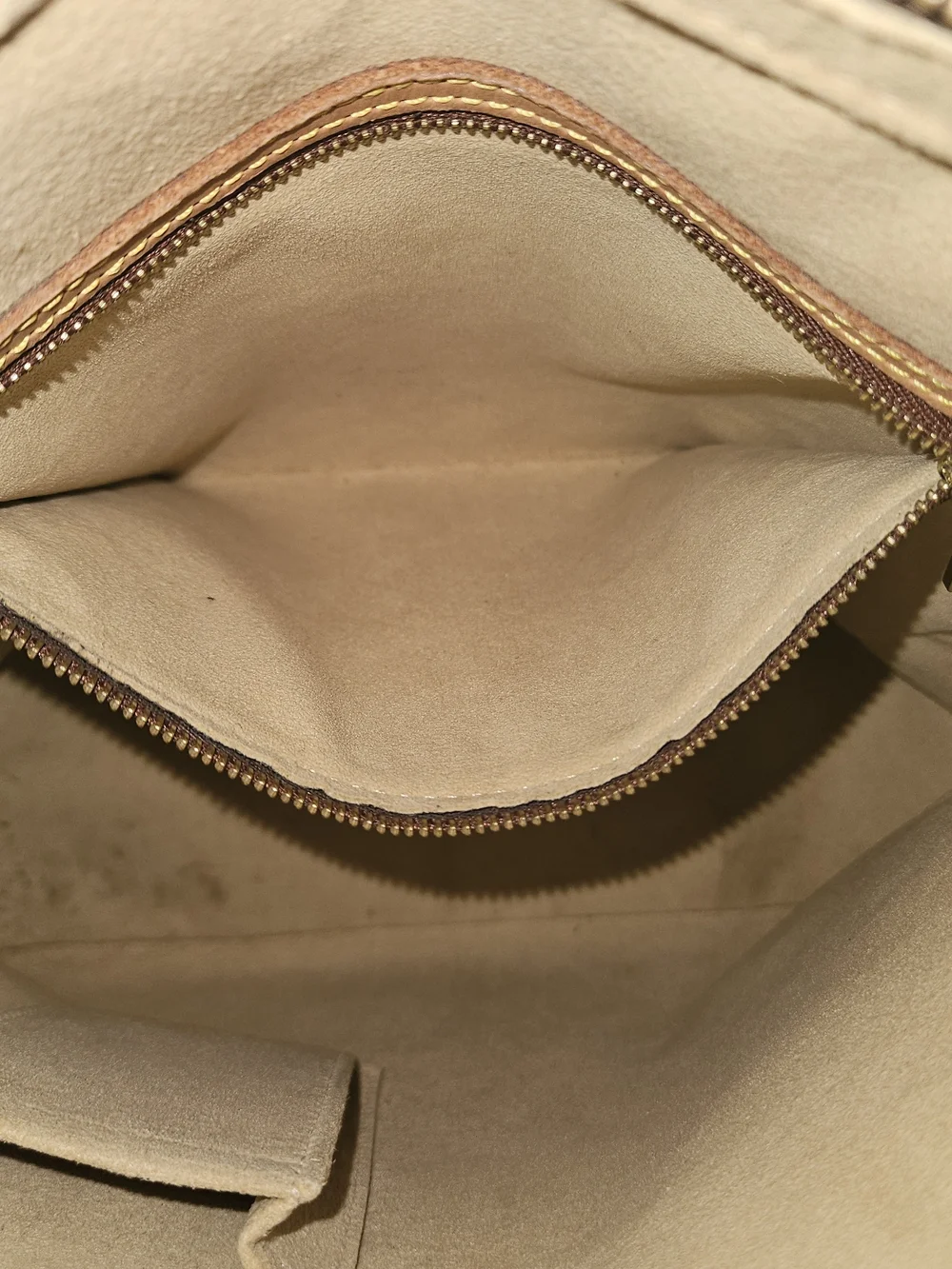 Louis Vuitton iconic louis